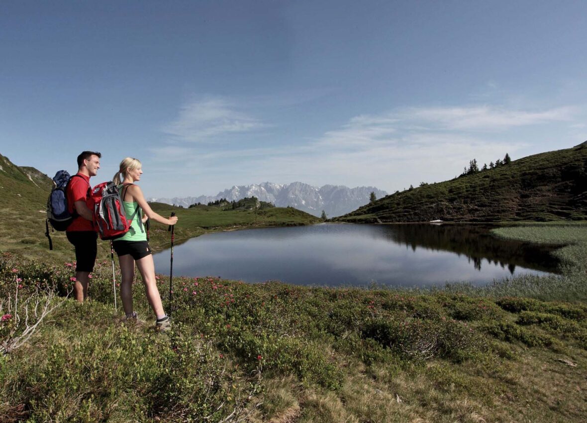 Wandern rund ums Feriendorf Holzleb'n