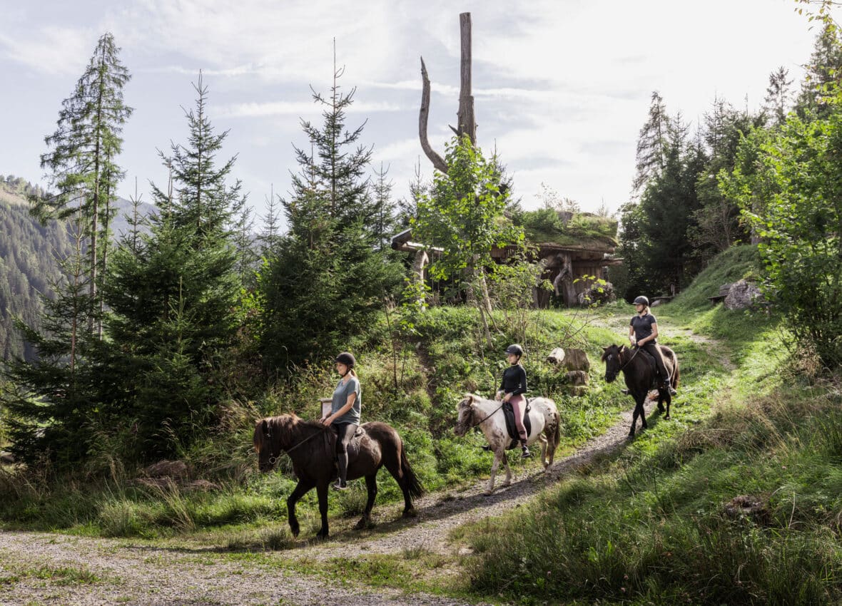 Ausreiten im Urlaub im Salzburgerland Ausreiten im Urlaub im Salzburgerland