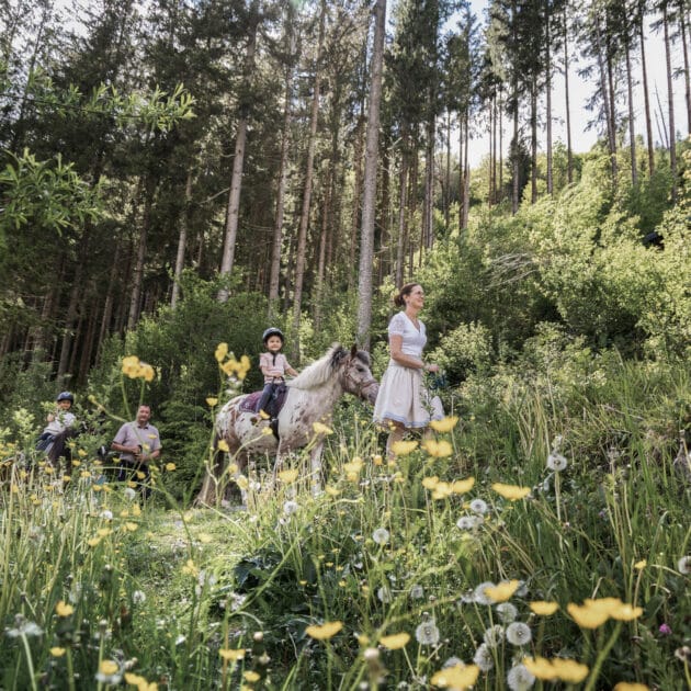 Ponyreiten mit Kindern